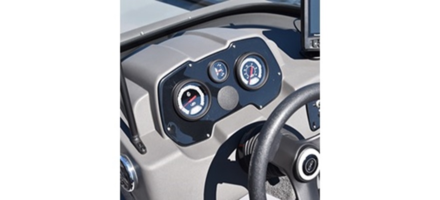 Optional analog gauges (tachometer and speedometer) 