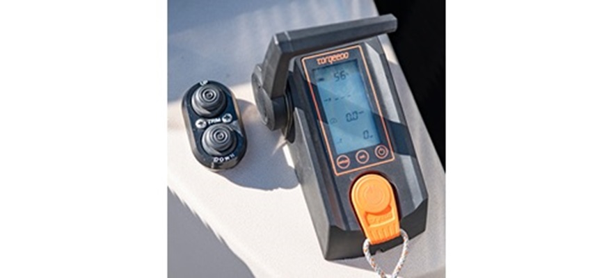 Optional controls for electric engine