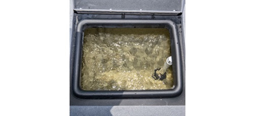 Bow electric-filled aerated livewell (77 L/20 U.S.gal.)