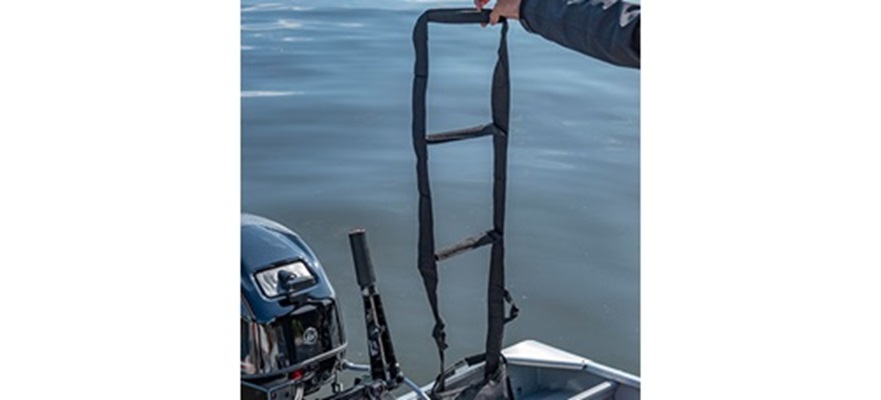 Emergency boarding ladder
