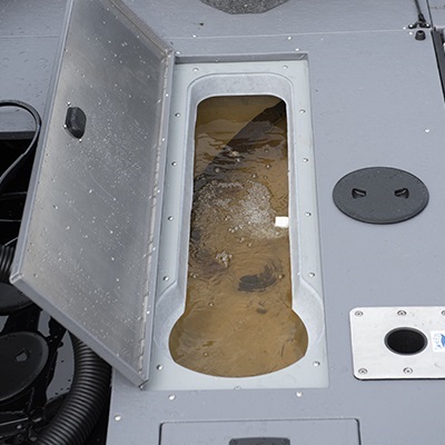 Stern electric-filled aerated livewell (77 L/20 U.S. gal.)